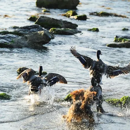 Santa Cruz Apartman Burgasz