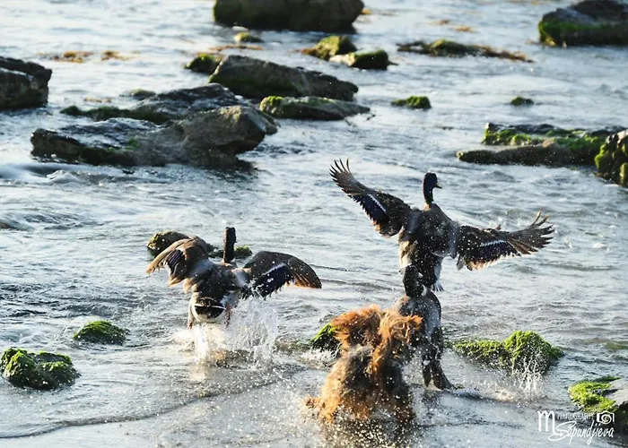 Santa Cruz דירה בורגאס