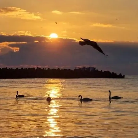 Santa Cruz Apartament *