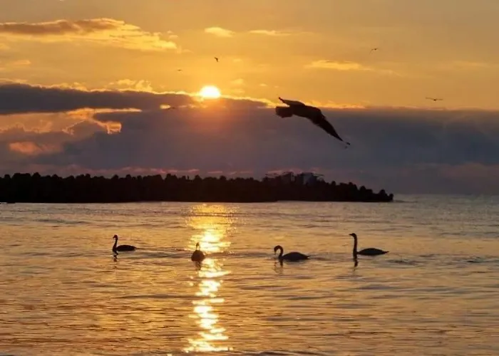 Santa Cruz Апартамент *